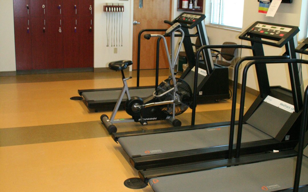 Various Sustain Athletic Projects