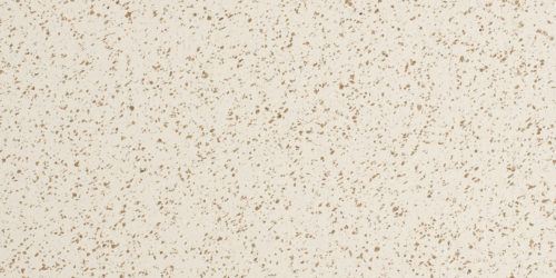 CR4033 Coral