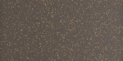 CR4051 Bronze