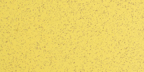 CR4052 Daffodil