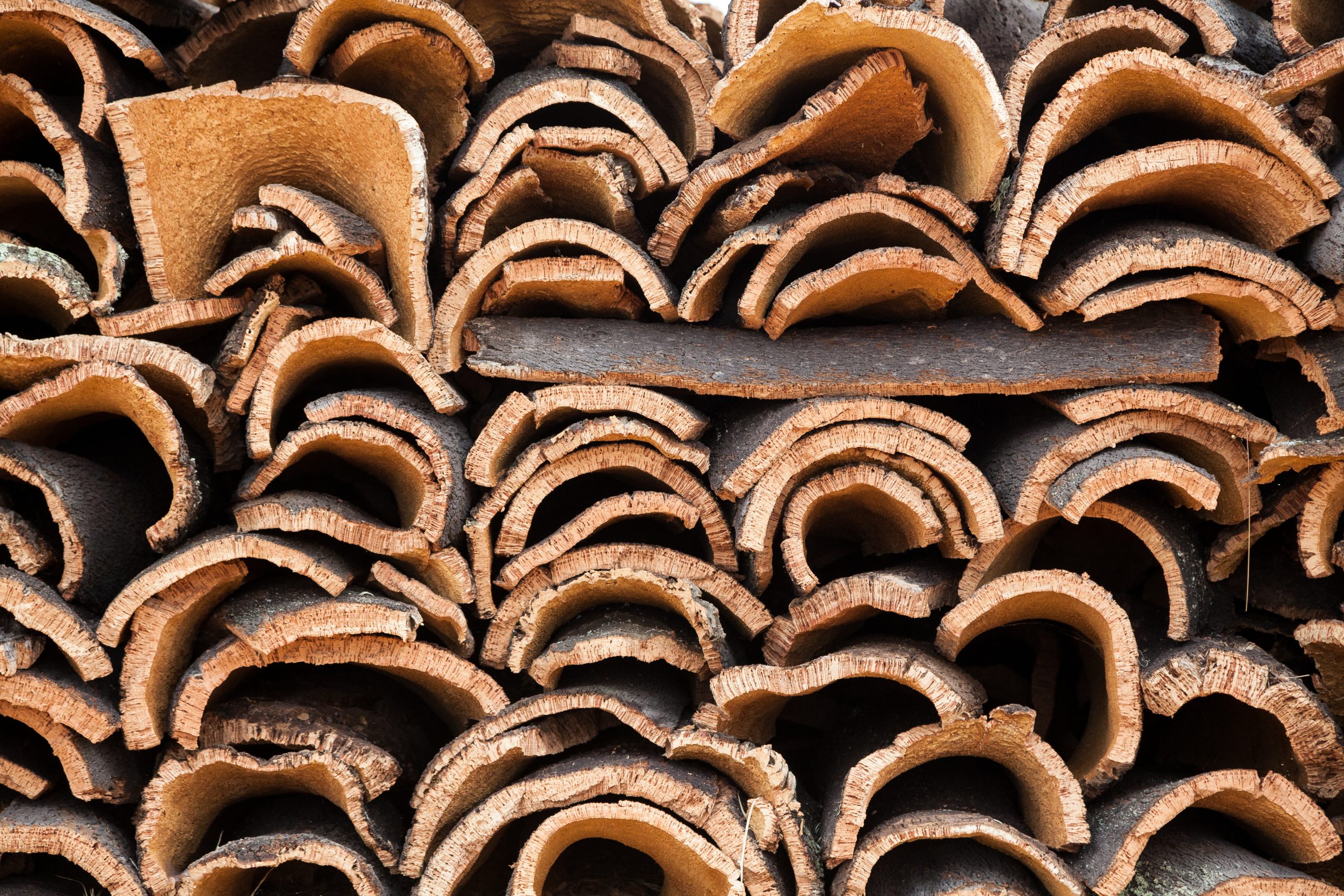 Natural cork bark